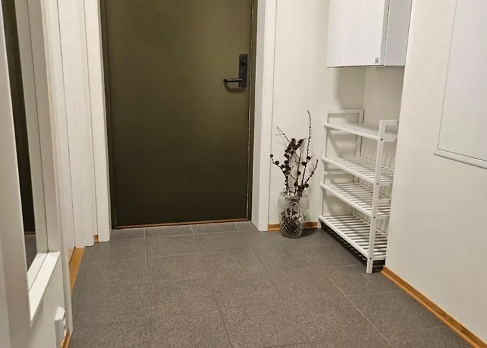 Ny Og Moderne Leilighet, Midt I Byen1 * Trondheim